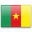 cameroun flag